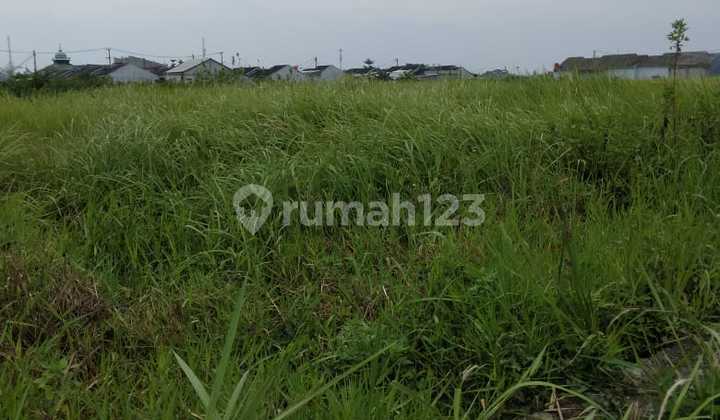 Land for Sale with SHM Certificate, Location in Kampung Gabus Bulak - North Tambun
