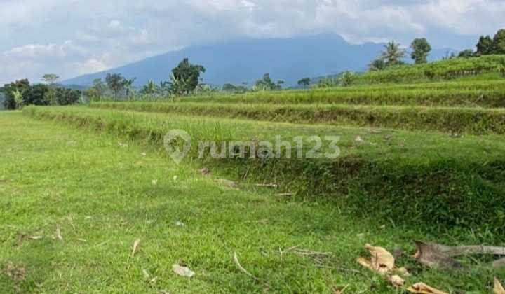 Tanah Harga Bu Utk Villa Jl Gn Bunder Area Wisata Gunung Salak 1