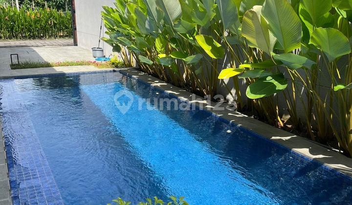 Sanur| 2 Bedrooms.villa Available For Yearly.rent