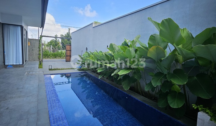 Sanur 2 Bedroom Private Villa For Long Term Lease Sanur 2 Bedroom Private Villa For Long Term Lease