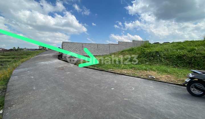 Di Jual Tanah Murah Full View Sawah Dekat Canggu 