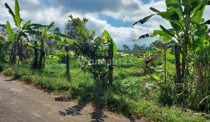  Tanah Cocok Perumahan Kecil Di Pelaga Petang  2