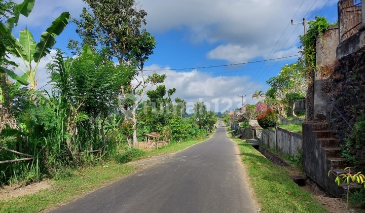  Tanah cocok perkebunan di Pelaga Petang  7