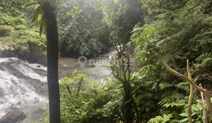 Riverside Land with waterfall view in Bakbakan Gianyar Bali 2