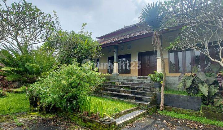 Dijual Tanah Bonus Rumah Di Jalan Bukian 2