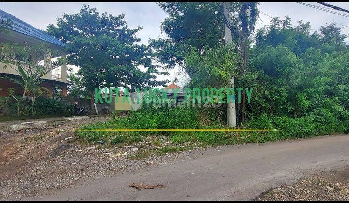 Land 3 acres near Puja Mandala Badung 2