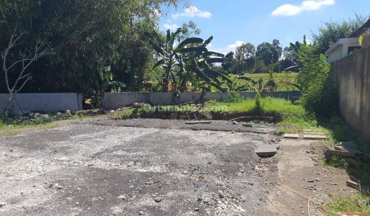 7 ara Land for lease located in Umalas Tunon. 
 1