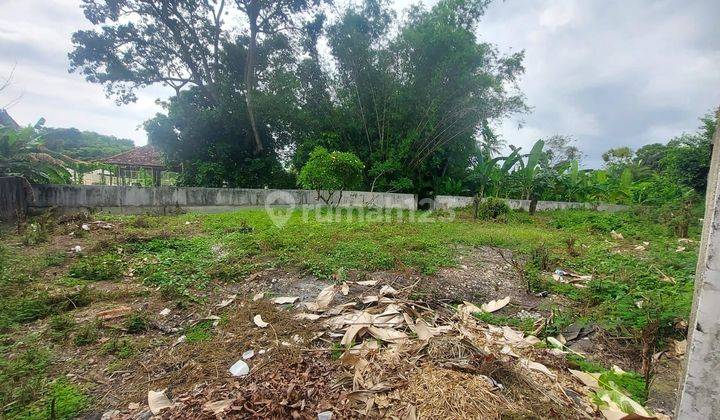 7 ara Land for lease located in Umalas Tunon. 
 2