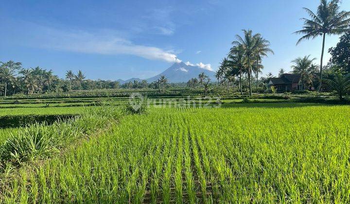 Dijual Tanah Di Jl. Pakem , sleman Jogja. 1