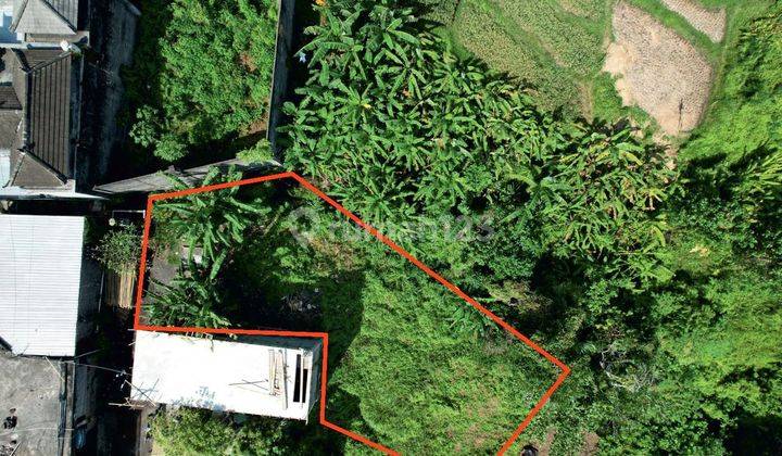 Dijual Tanah kavling 250 m2 Buduk Bali 2