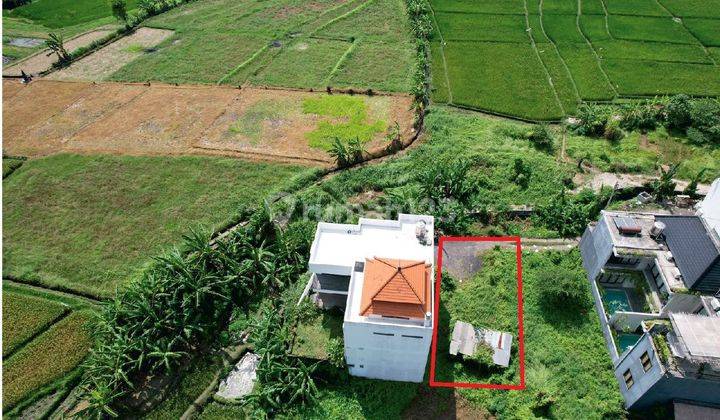 For Sale Small Plot Land 1.6 ara in Tumbak bayuh canggu 1