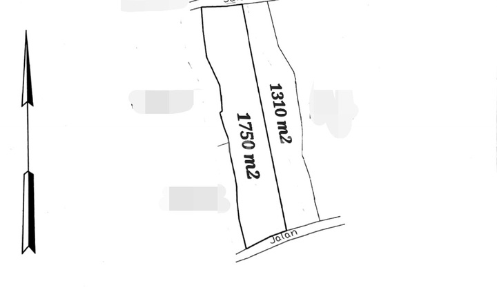 Dijual Tanah Premium Di Kawasan Café & Pantai Populer Nusa Ceningan Dijual Tanah Premium Di Kawasan Café & Pantai Populer Nusa Ceningan