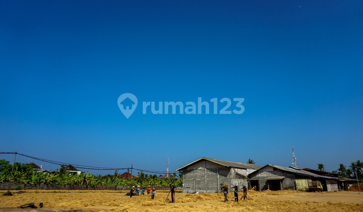 Investment Opportunity: Inactive Cocopeat Factory For Sale - Fully Licensed, Strategic Location in Jembrana Bali.