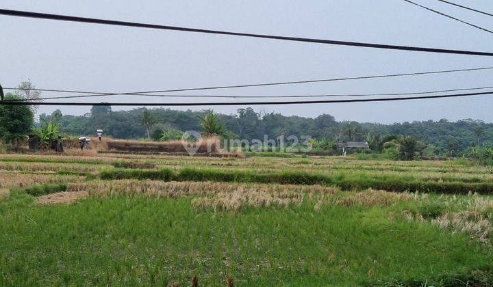 Dijual CEPAT tanah Di Jalan Utama IDA BAGUS MANTRA Tulikup GIANYAR 1