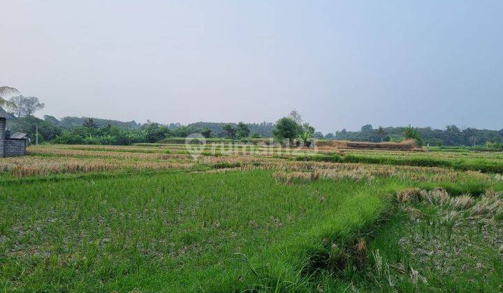 Dijual CEPAT tanah Di Jalan Utama IDA BAGUS MANTRA Tulikup GIANYAR 2