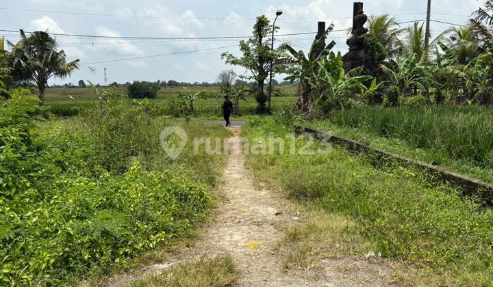 Segera Miliki Kavling Emas Di Pusat Pertumbuhan Badung Area Mengwi