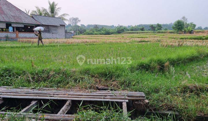 Dijual CEPAT tanah Di Jalan Utama IDA BAGUS MANTRA Tulikup GIANYAR 2