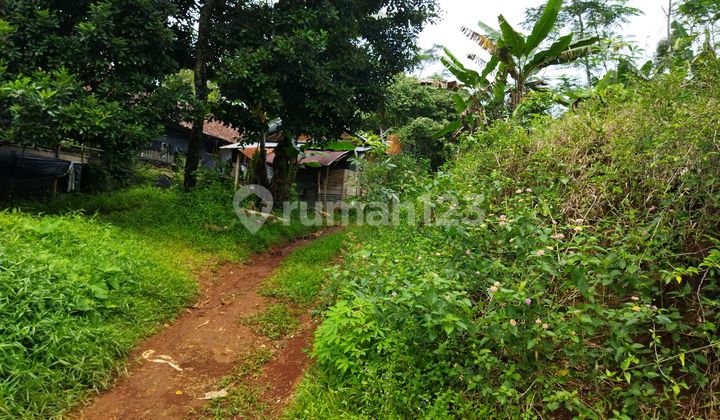 Tanah Cepat di Kalirejo, Singorojo