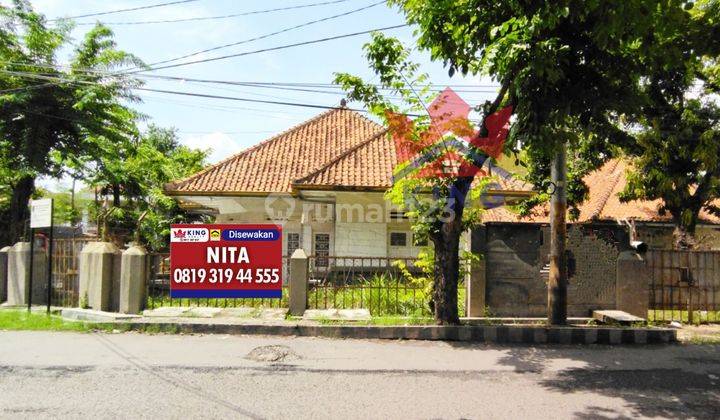 Rumah lama disewakan di Tengah Kota Semarang 1