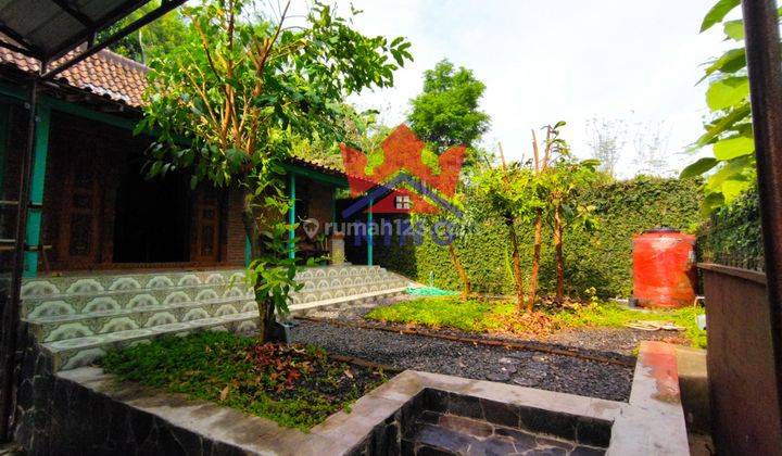 Rumah Limasan disewakan di Sampangan 2