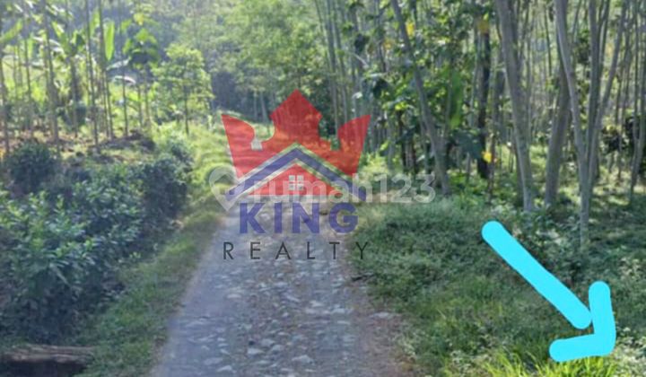 Jual cepat tanah Polosiri Bawen 2