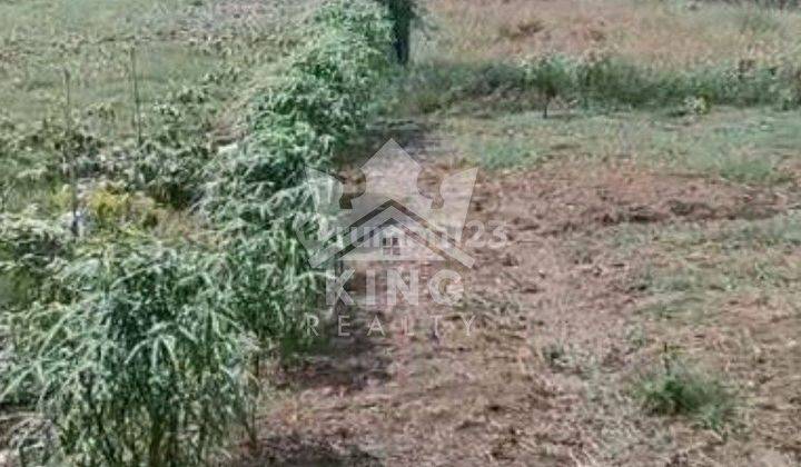 Tanah 1,5 Juta Permeter Dijual Di Kendal 1