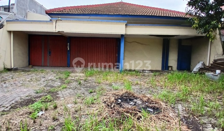 Tanah Luas 500 Meter Disewakan di Hasanudin Tanah Mas 1