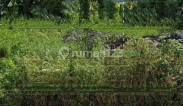 Land For Sale In Gajahmungkur, South Semarang 2