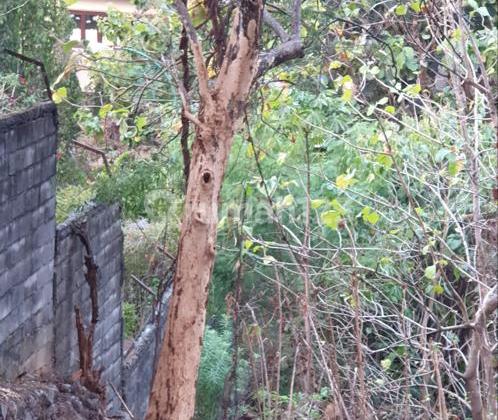 Tanah di Jangli Tlawah 2