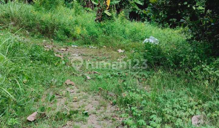 Tanah di Jangli Tlawah 1