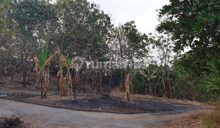 Tanah Dijual Cepat di Jangli Tlawah, Semarang 1