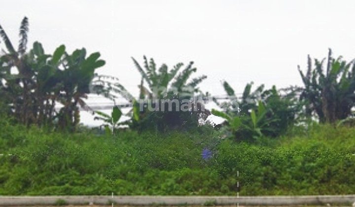 Tanah Dijual di Gajahmungkur Semarang Selatan 1