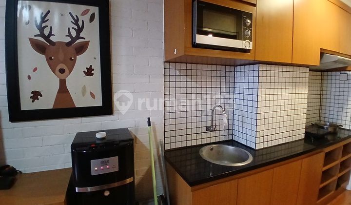 Downtown Apartment for Rent 2