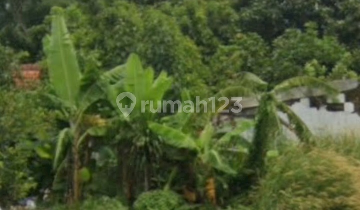 Tanah Strategis untuk Usaha Disewakan di Sultan Agung Semarang 2