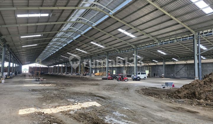 Disewakan Gudang Baru Siap Pakai Januari 2026 Luas 2ha 1