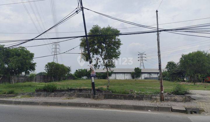 Disewakan Tanah jl. Raya Kaligawe dekat tol 1