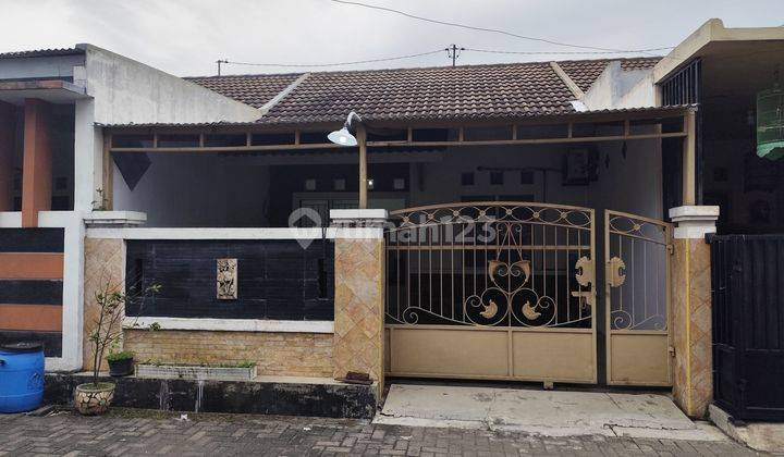 Dikontrakan Murah Rumah Siap Pakai Plamongan Indah 1