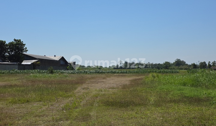 Dijual Tanah Industri Pinggir Jalan Karangawen 1,3ha.bisa Perluasan Hingga 10ha