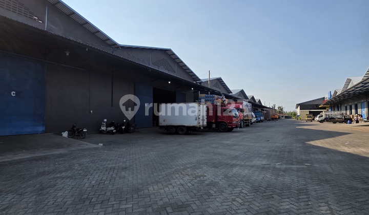 Disewakan Ready Mei Gudang Baru 1800M2 Bebas Banjir Dekat Tol dan Pelabuhan 2