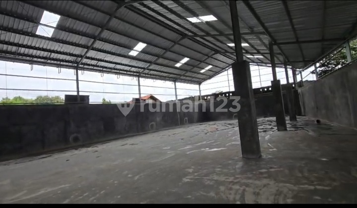 Warehouse for Rent by Mijen Road with Container Access 1