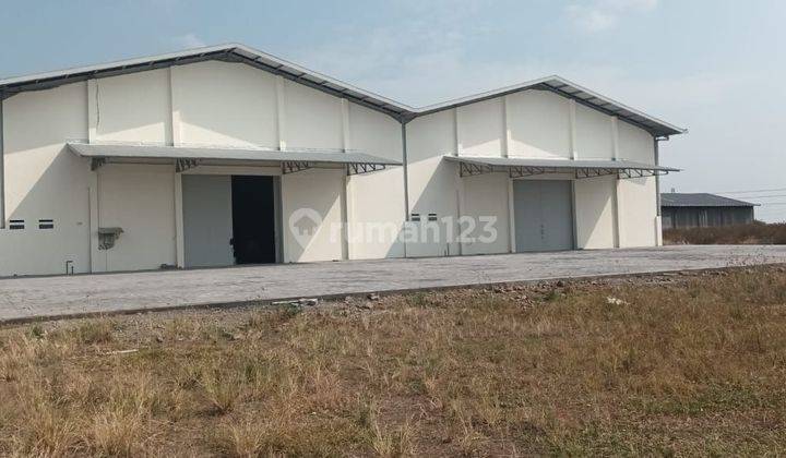 Disewakan Gudang Baru Sayung 960m² Siap Pakai 1