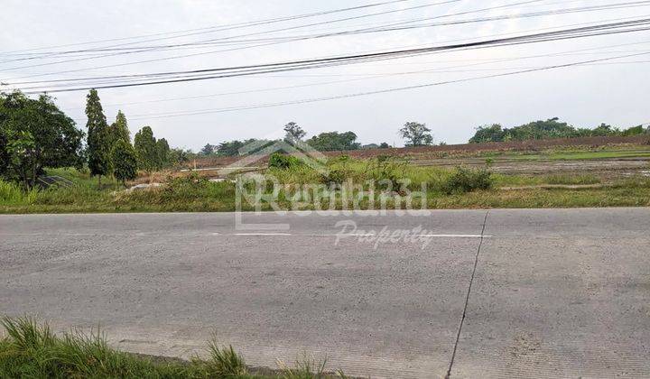 Tanah di Pilangwetan , Dempet Demak Wn 7131  2