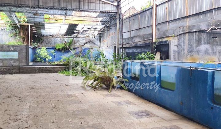 Gudang Strategis, Butuh Renov, di Daerah Gajahmungkur Wn 6294