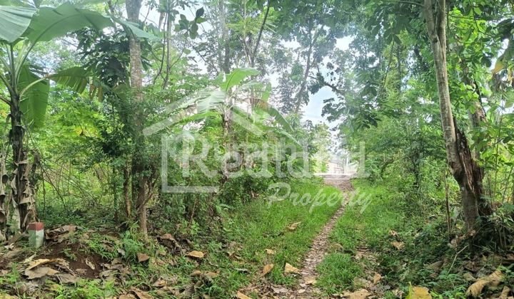 Tanah di Dekat Undip Tembalang, Semarang ( Ls 8444 ) 1