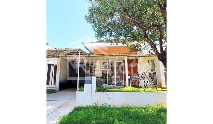 Ivy Park Citraland BSB City House, Semarang (Land area 8064) 1