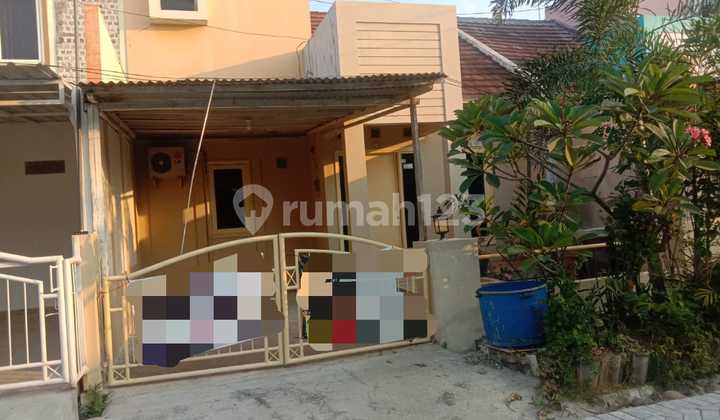 Rumah Strategis Tengah kota Bagus Bebas Banjir disewakan di  Semarang Indah Semarang 1
