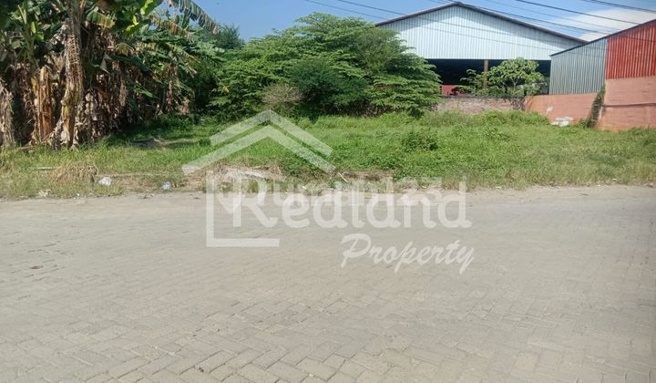 Tanah di Sembungharjo , Genuk Semarang ( Ln 8011 ) 1