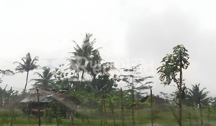 Tanah di Karangjati , Bergas Semarang ( Vn 8509 ) 1