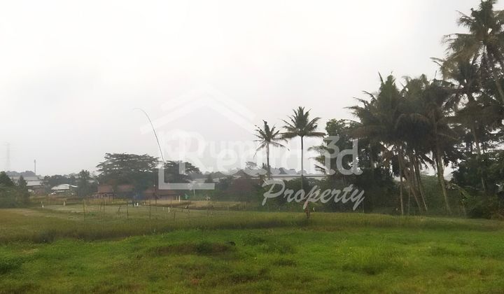 Tanah di Karangjati , Bergas Semarang ( Vn 8510 ) 2