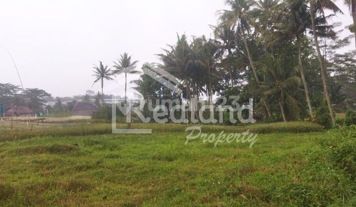 Tanah di Karangjati , Bergas Semarang ( Vn 8510 ) 1